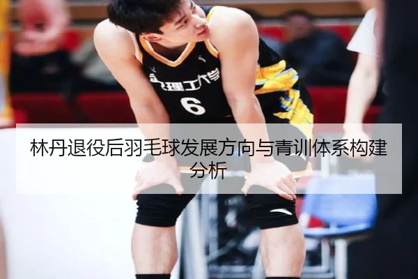 林丹退役后羽毛球发展方向与青训体系构建分析