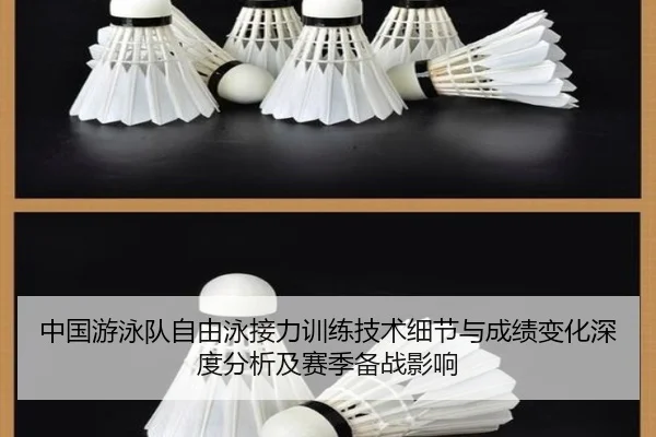 中国游泳队自由泳接力训练技术细节与成绩变化深度分析及赛季备战影响