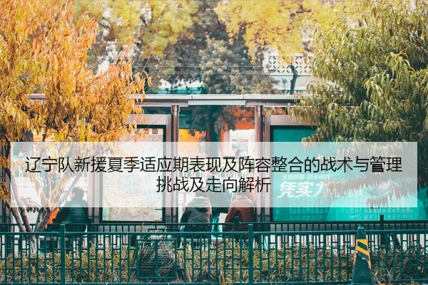 辽宁队新援夏季适应期表现及阵容整合的战术与管理挑战及走向解析