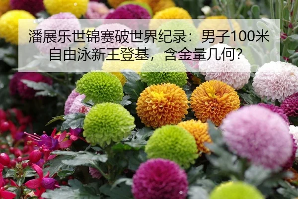 潘展乐世锦赛破世界纪录：男子100米自由泳新王登基，含金量几何？