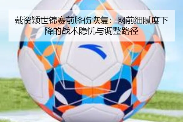 dai-zi-ying-shi-jin-sai-qian-xi-shang-hui-fu-wang-qian-xi-ni-du-xia-jiang-de-zhan-shu-yin-you-yu-tiao-zheng-lu-jing-2-377.jpg